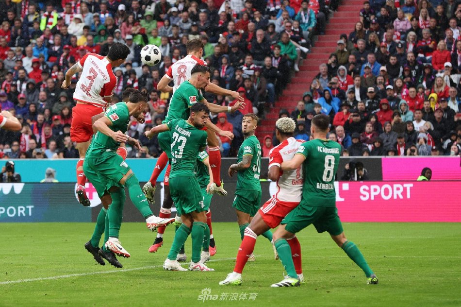 以及他们如 以及他们如